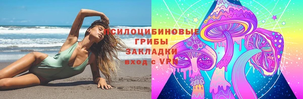 ГАЛЛЮЦИНОГЕННЫЕ ГРИБЫ Абдулино